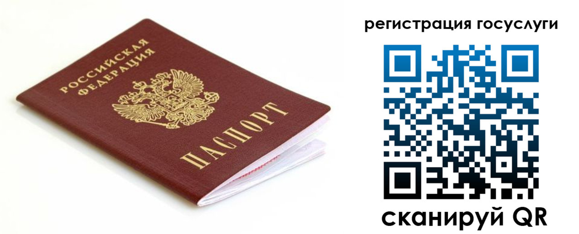 временная регистрация гарантия в Нелидово