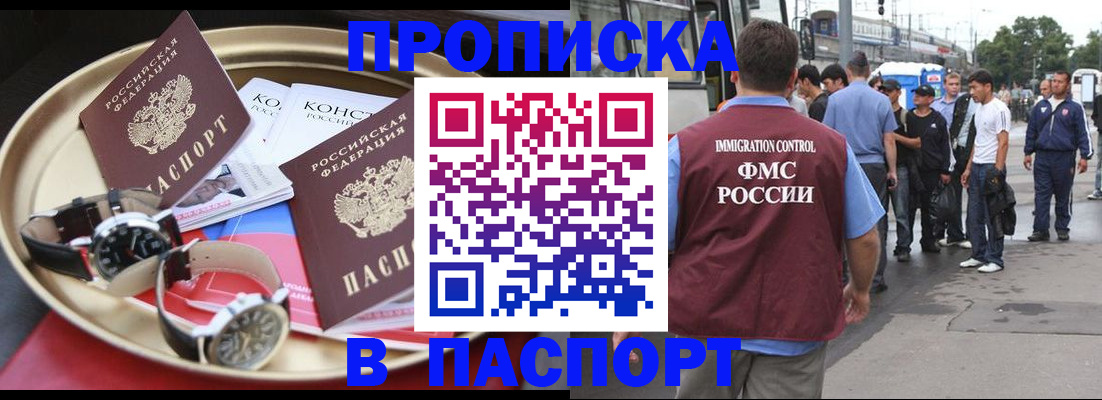 где прописаться в Нелидово